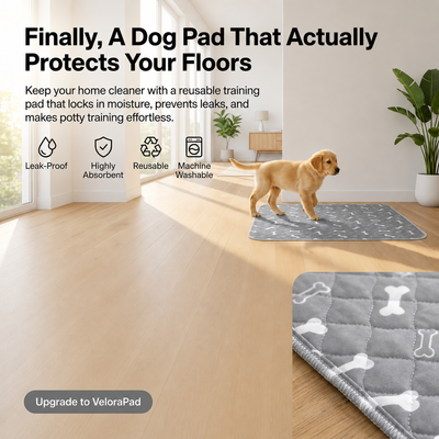 VeloraPaw Pup Pad