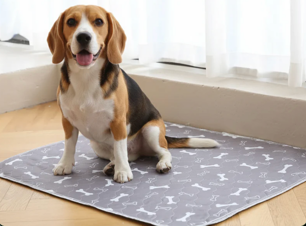 Dog Pad