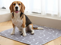 Dog Pad