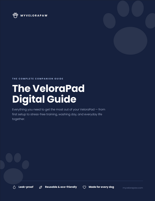 VeloraPaw | VeloraPad Digital Guide